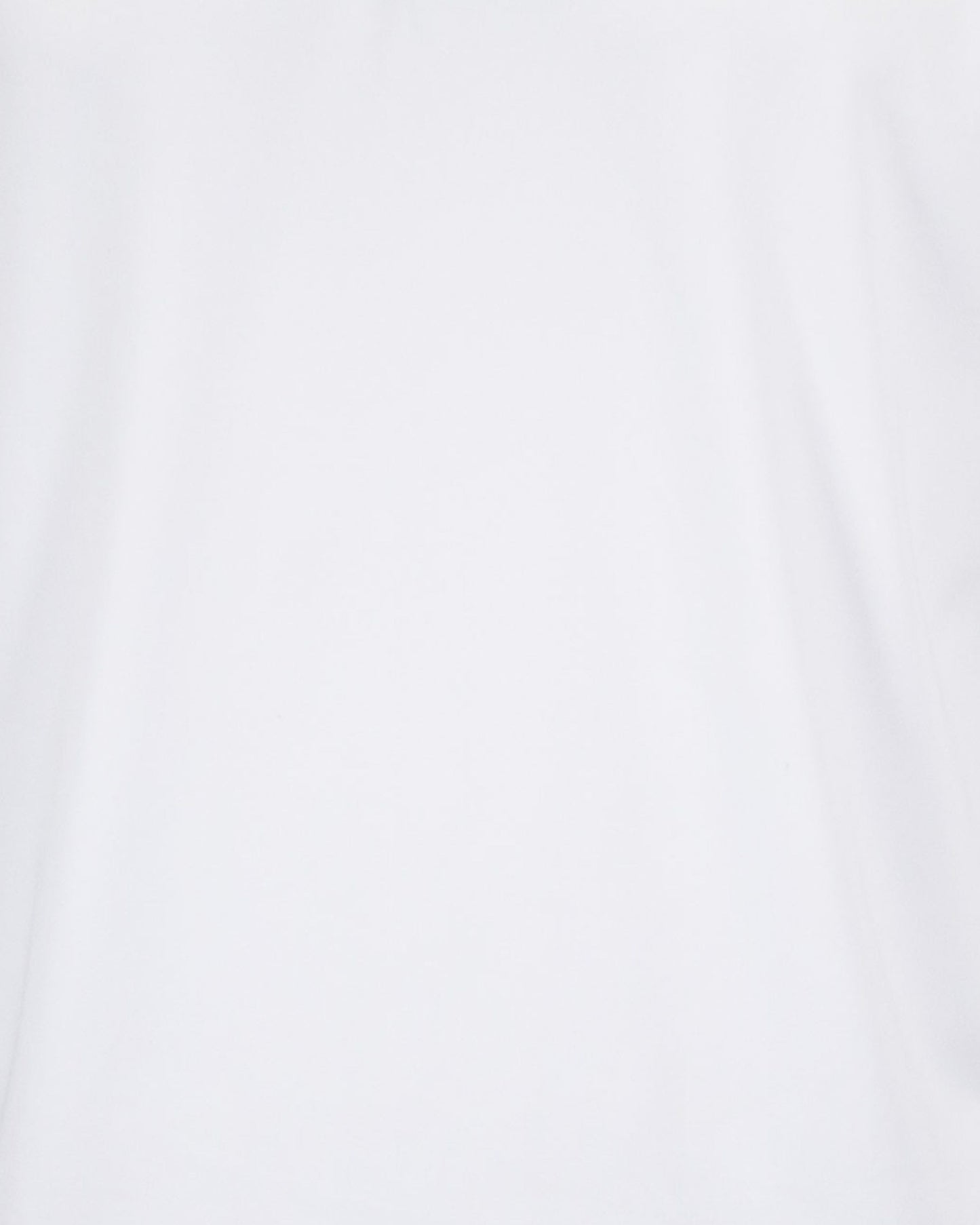 HUDSON GOLF PERFORMANCE POLO WHITE
